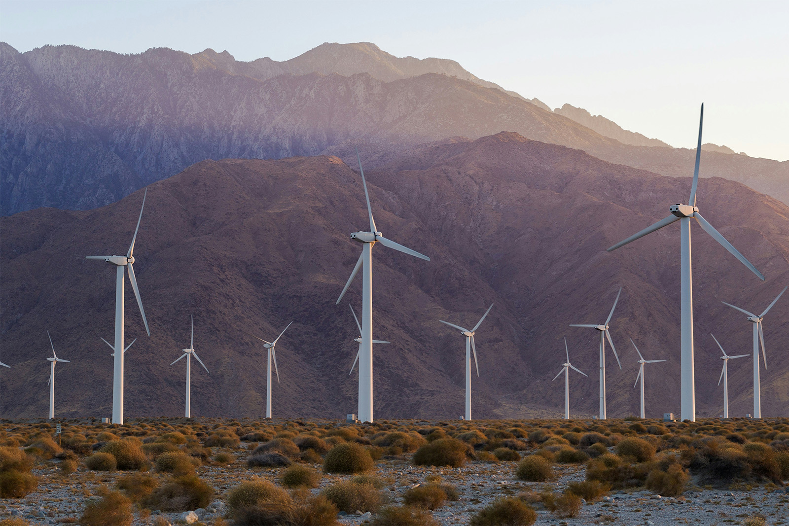 Numerous windmills are scattered across a dry desert area, showcasing renewable energy in a stark environment.