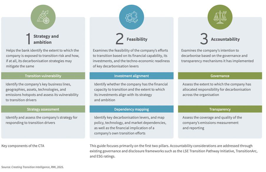 Figure: a description of the three pillars of a Corporate Transition Assessment: strategy and ambition, feasibility, and accountability.