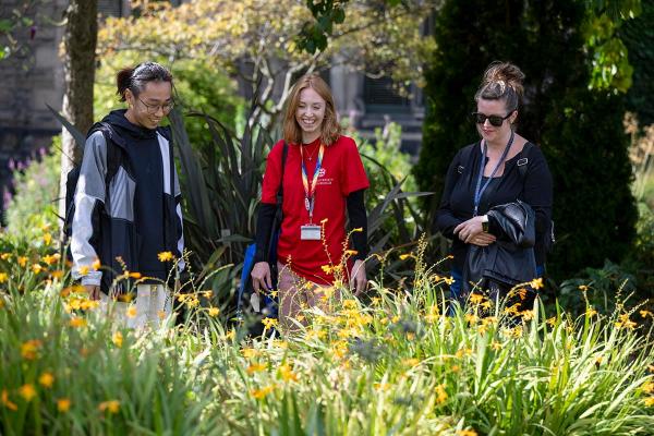 Group of three work colleagues out for a walk, looking at flowers on a sunny day
