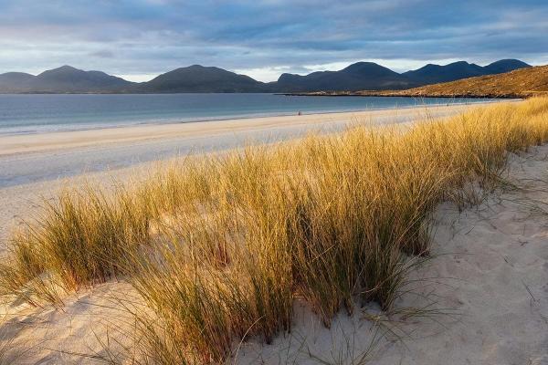 Visiting Fellow Michael Bushnell sets out four conditions for the move to a more sustainable global economy. 