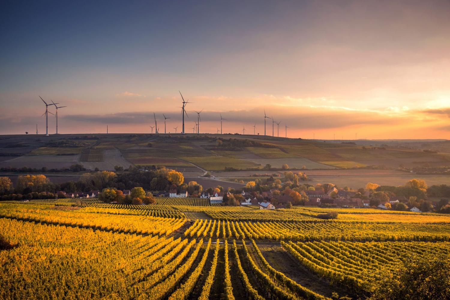 Why Lending to Farm Businesses That Support Biodiversity Is the Way Forward