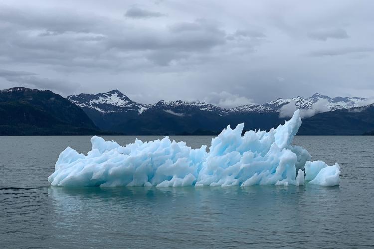 Melting ice