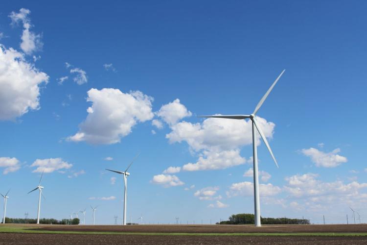 Wind turbines in fields