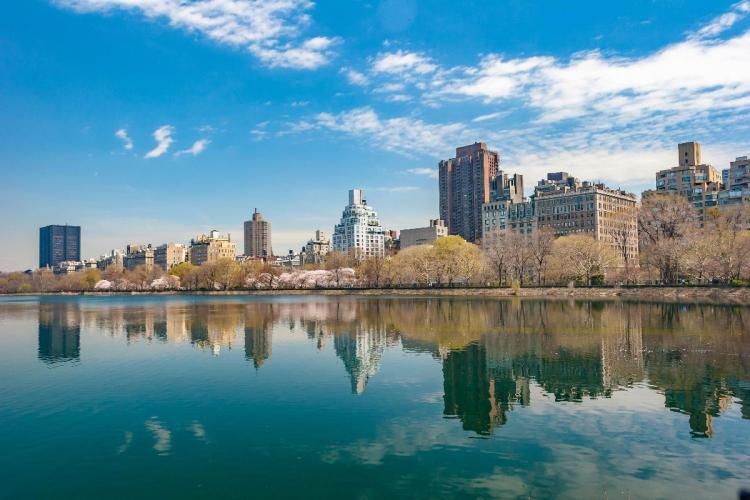 Cityscape photo of New York