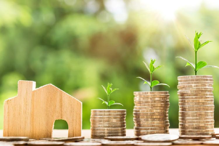 Wooden cutout of house beside three stacks of coins with seedlings growing out of the top of them