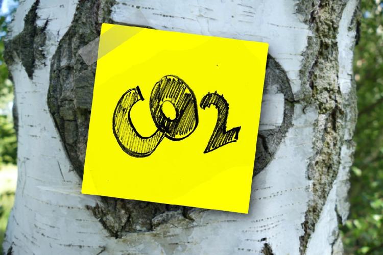 Post-it note with CO2 written on it stuck to a tree trunk