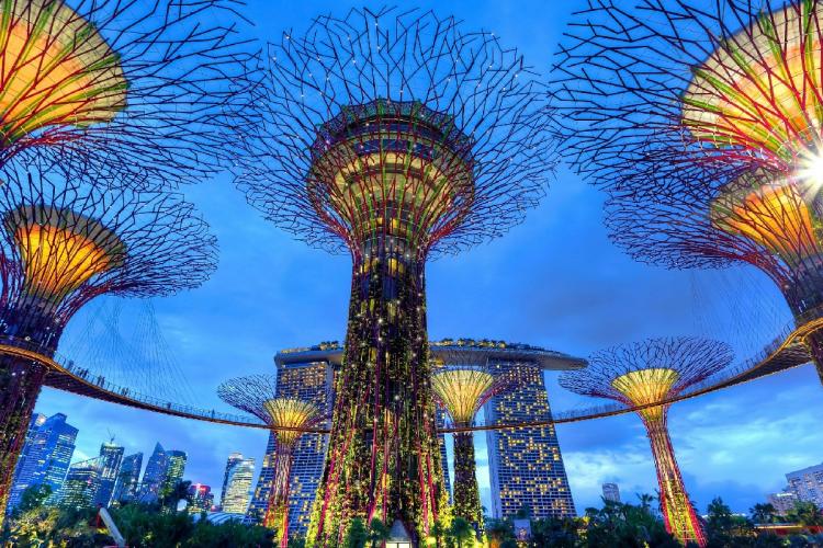 Gardens by The Bay in Singapore